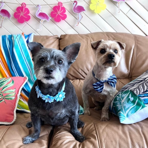 Meet your Posher, Wendy - Picture 13 of 13